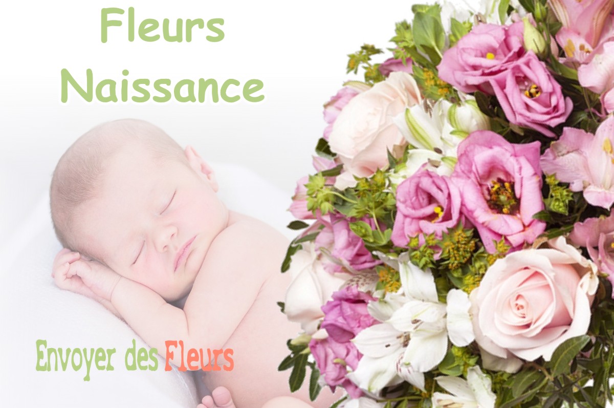 lIVRAISON FLEURS NAISSANCE à VILLARD-SAINT-SAUVEUR